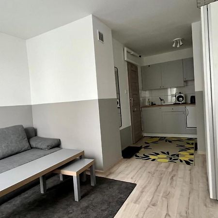 Mlawska 33 Apartment Rypin Екстериор снимка