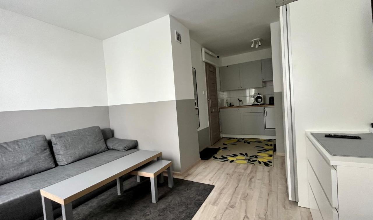 Mlawska 33 Apartment Rypin Екстериор снимка